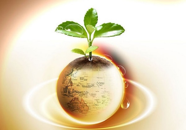 美联储宽松预期与地缘风险支撑黄金震荡上行